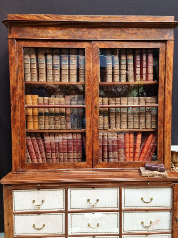 XIX C.th Mahogany Bookcase Cartonnier l