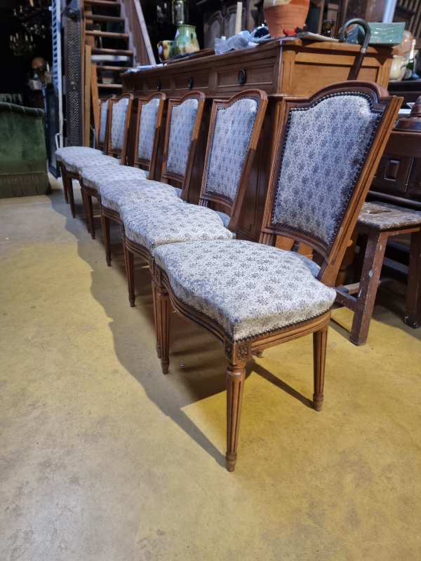 Set of 6 Directoire style chairs